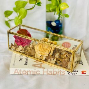 Glass Brass Box 8x3x3″